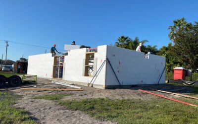 Palmetto Triangle Home Weeks 5 & 6