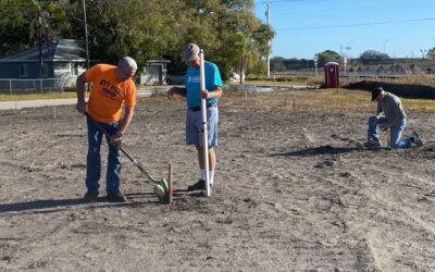 The Triangle in Palmetto
